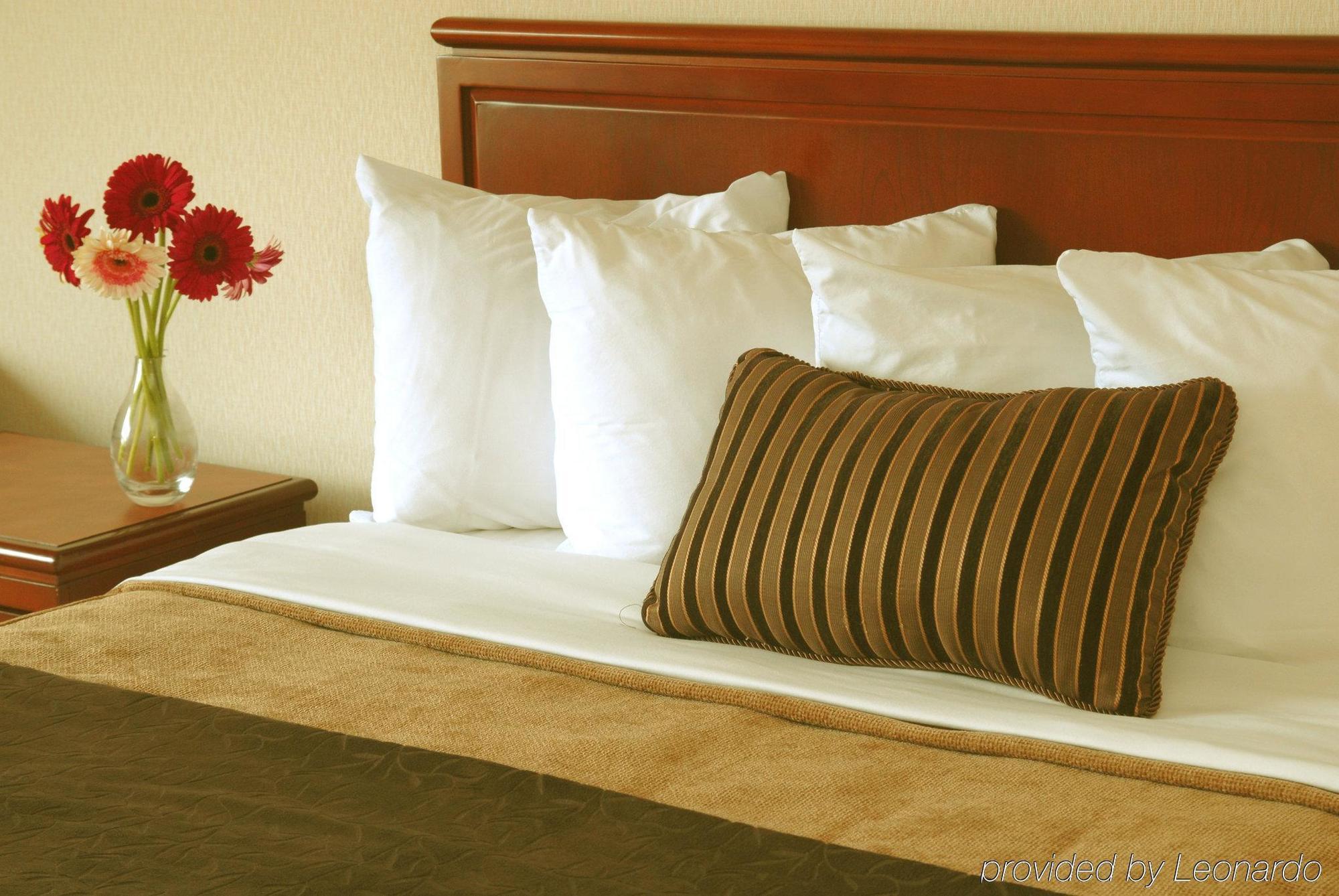 Отель Doubletree By Hilton St. John'S Harbourview Номер фото